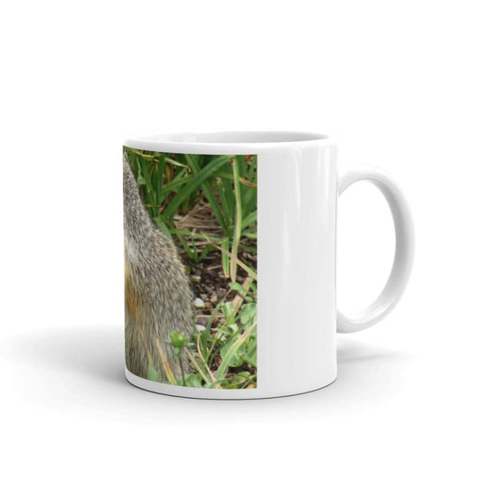 Inquisitive Stare - 11 oz and 15 oz Ceramic Coffee Mugs - Fry1Productions