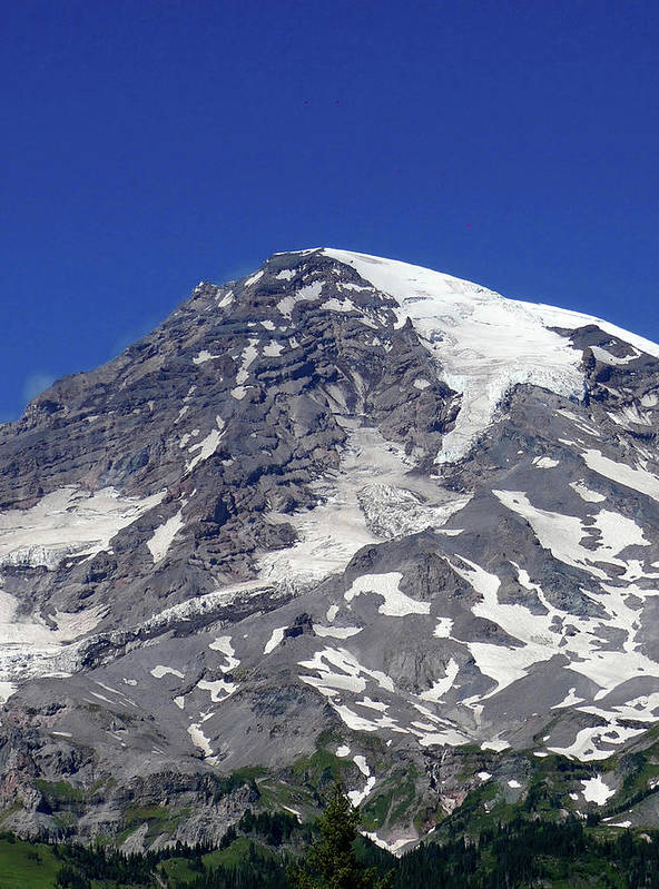 Majestic Mt. Rainier - Art Print - Fry1Productions