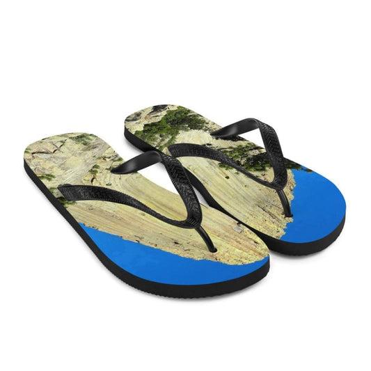 Reaching Heaven - Flip-Flops - Fry1Productions
