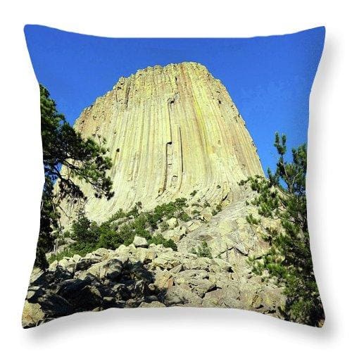 Reaching Heaven - Throw Pillow - Fry1Productions