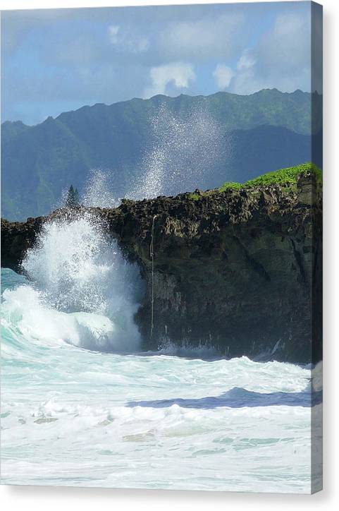 Rockin Surfer's Rope - Canvas Print - Fry1Productions