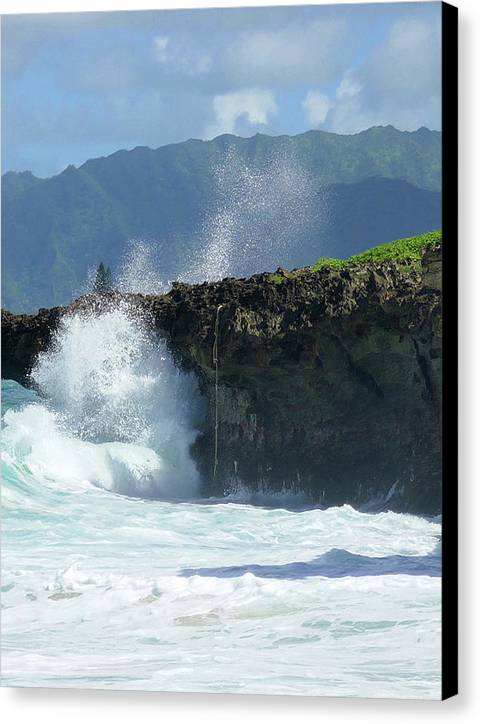 Rockin Surfer's Rope - Canvas Print - Fry1Productions
