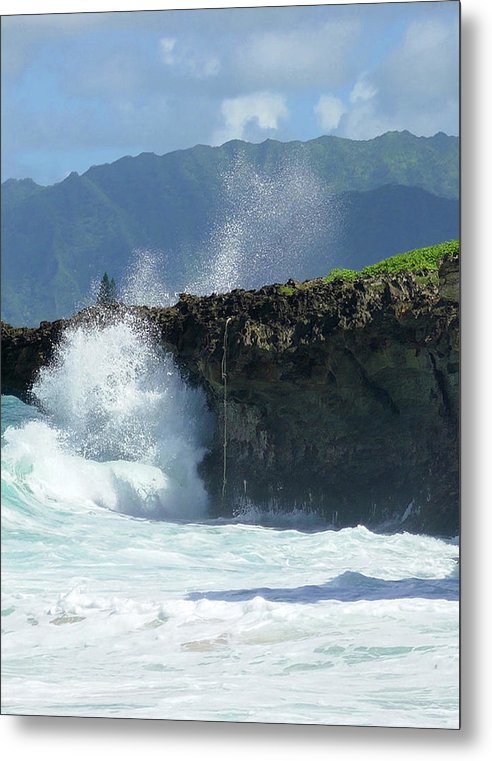 Rockin Surfer's Rope - Metal Print - Fry1Productions