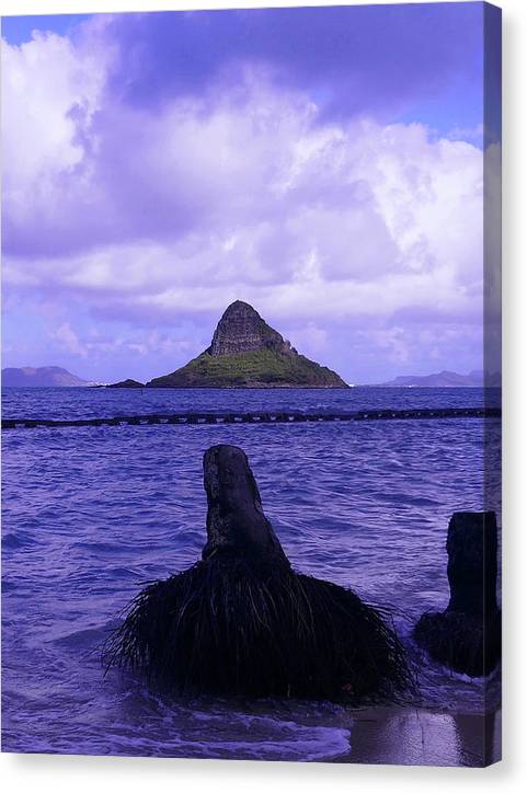 Wade To Chinaman's Hat - Canvas Print - Fry1Productions