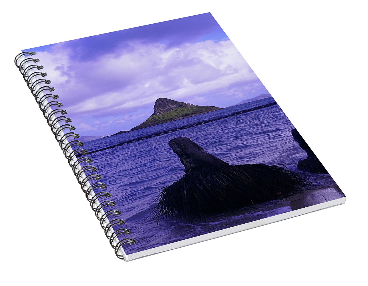 Wade To Chinaman's Hat - Spiral Notebook - Fry1Productions