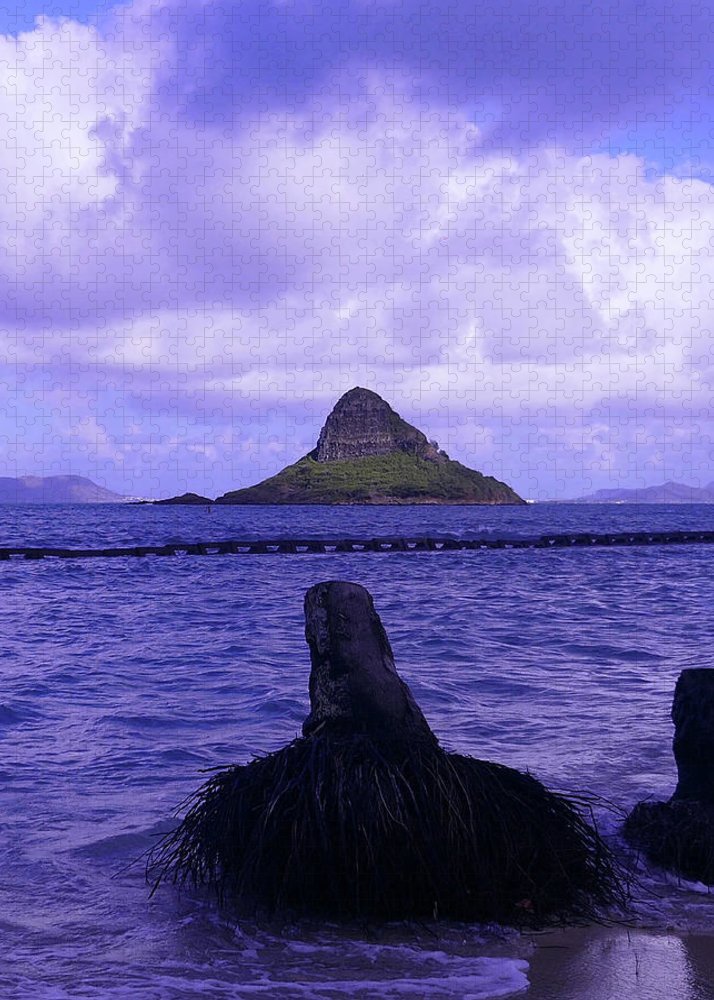 "Wade To Chinaman's Hat" - Puzzle - Fry1Productions