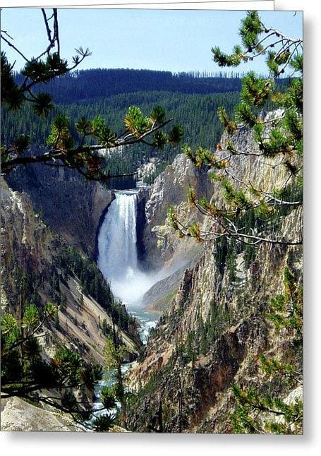 "Yellowstone's Splendor" - Greeting Card - Fry1Productions