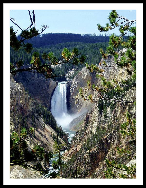 Yellowstone's Splendor - Framed Print - Fry1Productions
