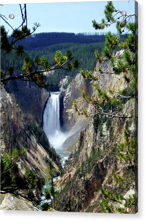 Yellowstone's Splendor - Acrylic Print - Fry1Productions