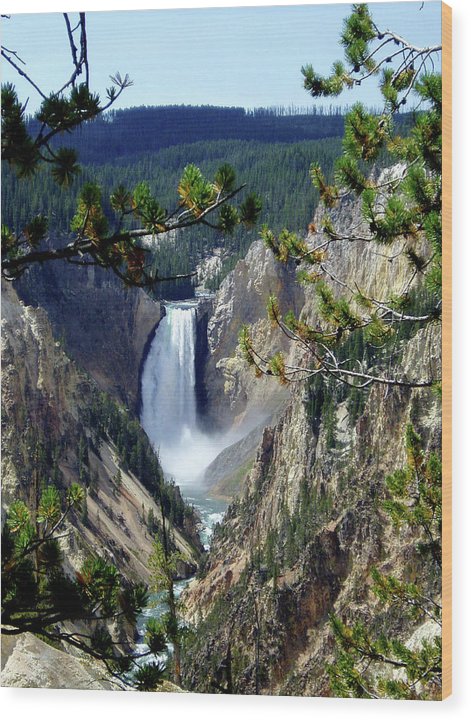 Yellowstone's Splendor - Wood Print - Fry1Productions